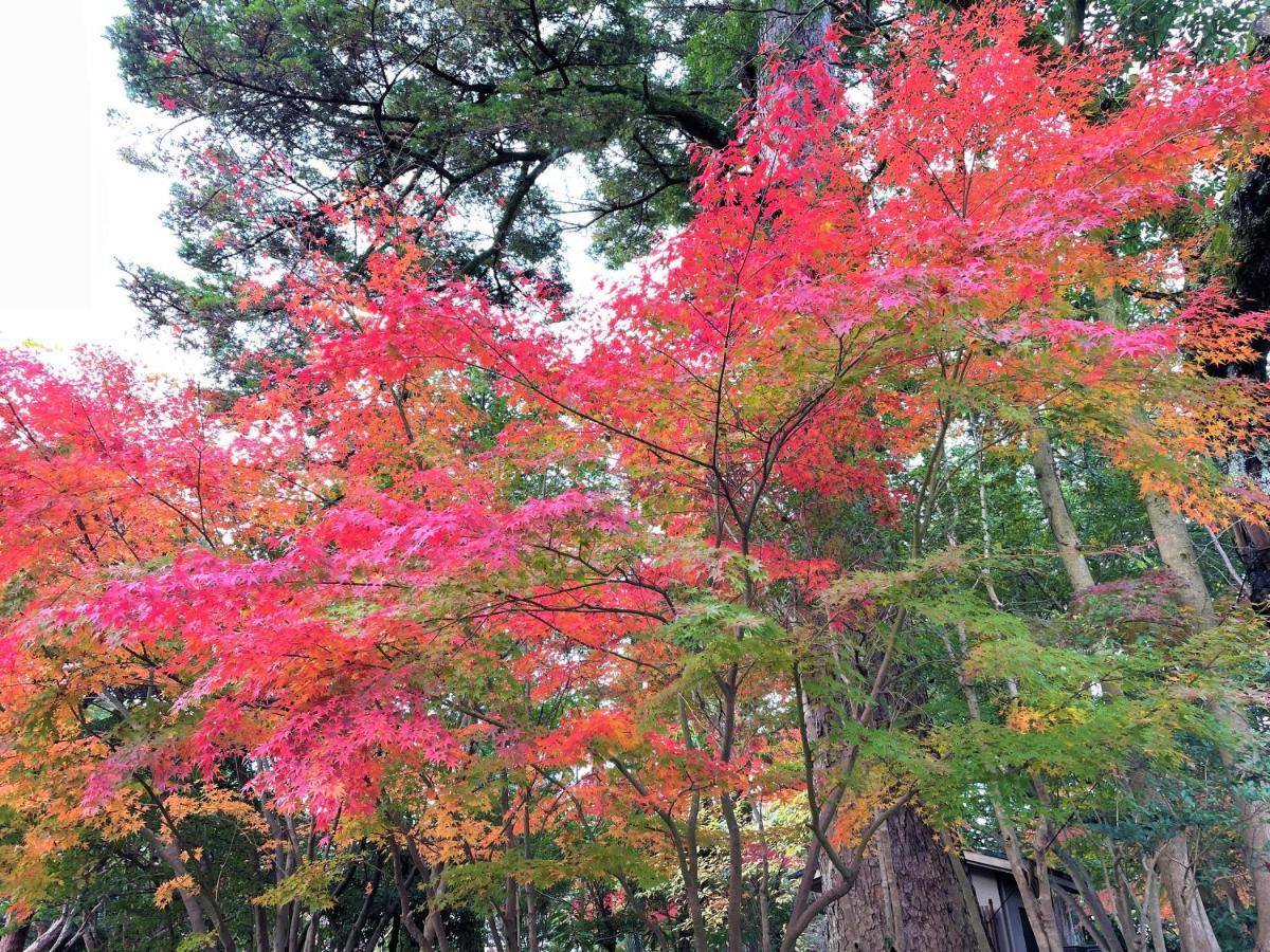 Hotel Amanek Kanazawa Zewnętrze zdjęcie